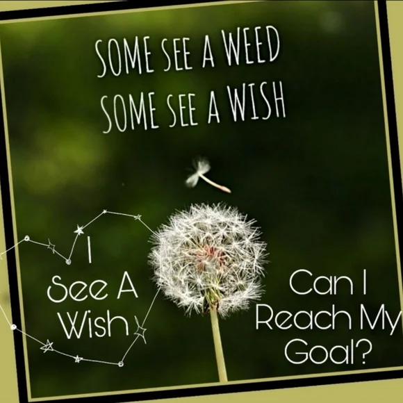 THANK YOU!(´⊙ω⊙`)ᵒᵐᵍᵎᵎᵎ (ᵒ̤̑ ◁ ᵒ̤̑)𝑤𝑜𝑤 🫶😘🥳 - Picture 7 of 14